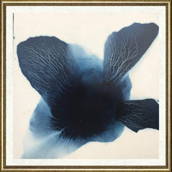 毛栗子_花非花 Floweriness17